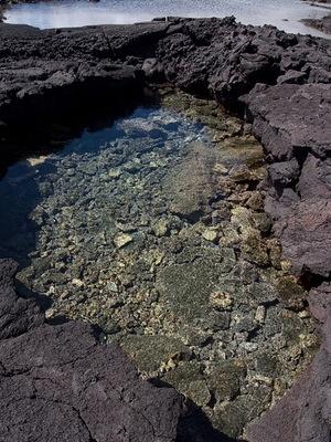 A Kapoho Tide Pool