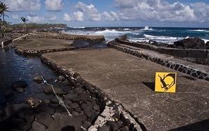 Head smash at Ahalanui