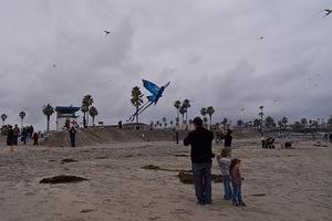 Butterfly kite