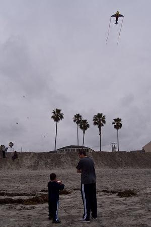 Flying the shark kite