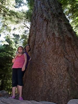 Dannica and Randi with a giant douglas fir