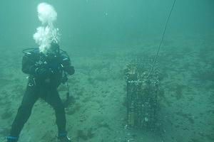 2008.11.01 Scripps Canyon dive