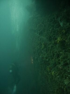 dropping down the canyon wall