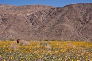 Photographer in the fields