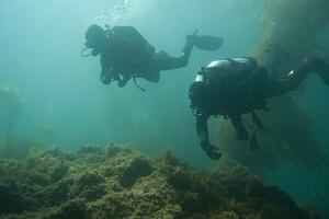 Paul and Pete diving