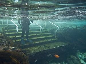 2009.11 Diving Catalina Island