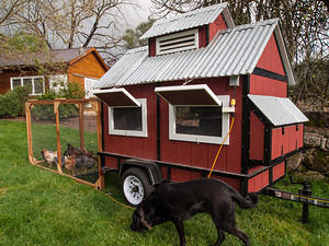 Laying hen house