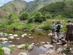 Fording the creek