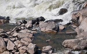 Crane at Great Falls