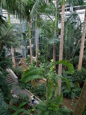 Inside the United States Botanic Garden