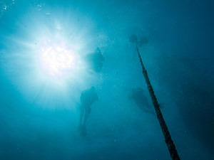 Divers about to drop down the line