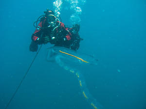 Paul and Pete watching a salp chain