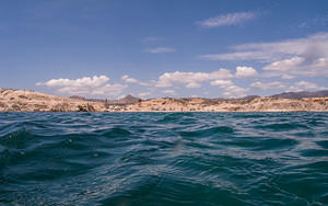 Los Arbolitos from the water