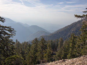 Smokey Angeles National Forest