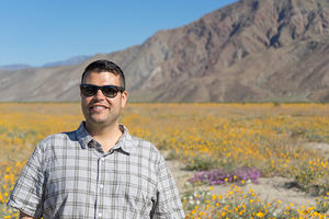 Anza Borrego Wildflows