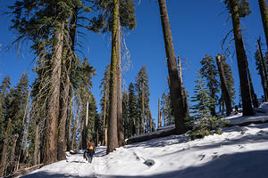 Hiking to Panoramic Point