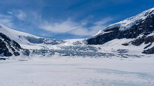 Athabasca Glacier