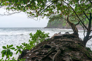 East Hawaii coastline