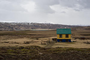 Green roofed house