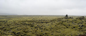 Moss covered lava field