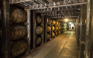 Rows of Buffalo Trace bourbon barrels