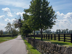 Stone and black wood fences around horse farms in Versailles Kentucky