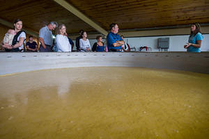 Fermentation at Willett