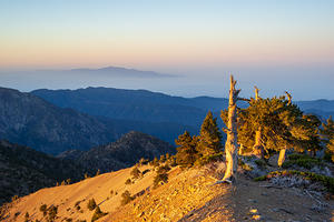 South view from Mt Baden-Powell