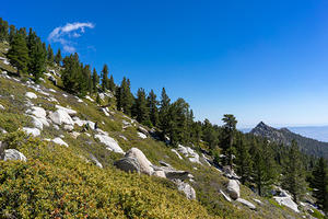 Mt. San Jacinto Summit Trail