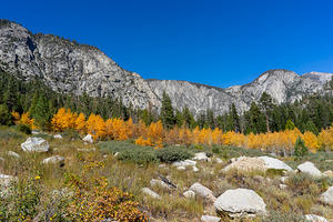 Upper Paradise Valley with fall colors