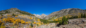 Fall colors along the Rae Lake trail. Window Peak and Pyramid Peak