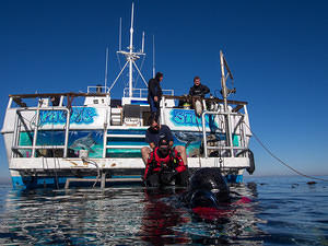 Two Harbors, Catalina Island