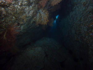 Dark cave and sea fans