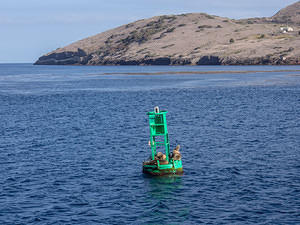 Sea lions sunning on a marker buoy