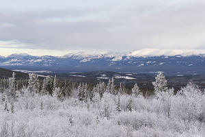 Mount Laurier