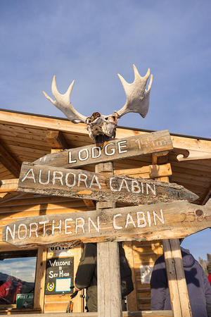 Moose skull signs