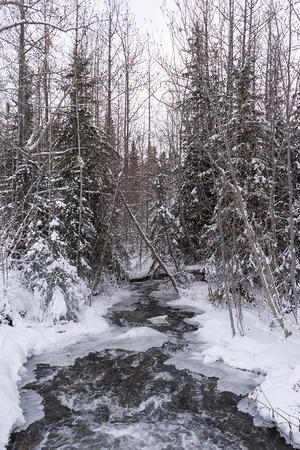 Frozen creek