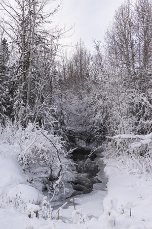 Frozen creek