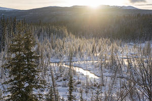 Whitehorse Copper Trail