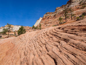 Zion rock striation