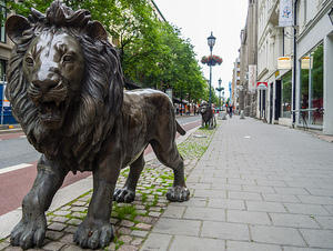 Street lion