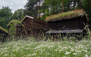 Norsk Folkemuseum