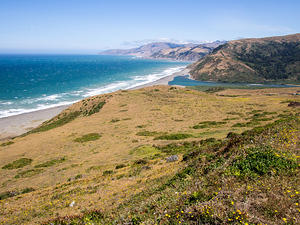 Looking north along the Lost Coast