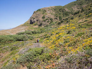 Anna walking the Lost Coast Trail