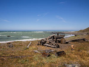 Driftwood shelter, Lost Coast