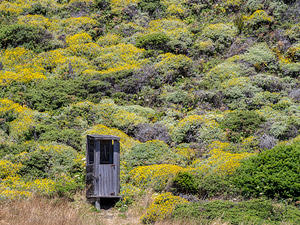An outhouse with a view