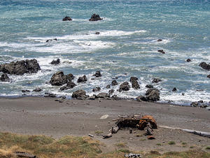 Driftwood shelter, Lost Coast