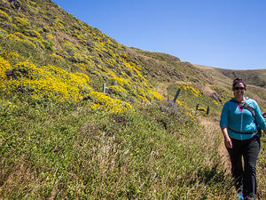 Anna walking through wildflowers