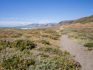 Lost Coast Trail