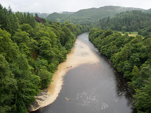 River Tay - tannins and mud